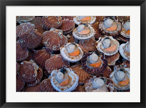 Framed Trouville Fish Market, Calvados, France Print