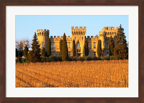 Framed Vineyard with Syrah Vines and Chateau des Fines Roches Print