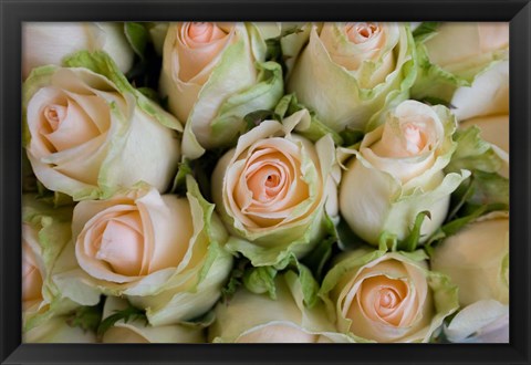 Framed Marche Aux Fleurs, Cours Saleya, French Riviera, France Print