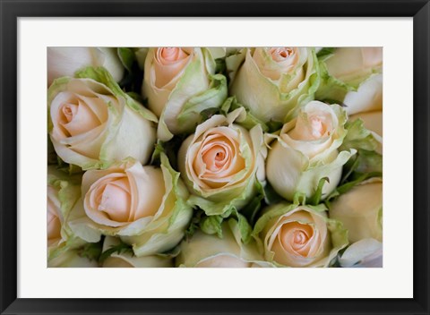 Framed Marche Aux Fleurs, Cours Saleya, French Riviera, France Print