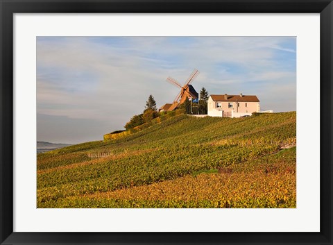 Framed Windmill and Vineyards Print