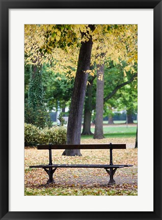 Framed Parc de la Pepiniere, France Print