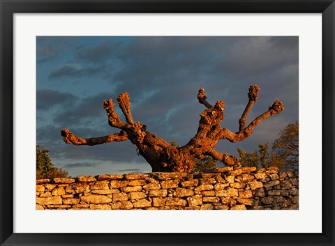 Framed Sunrise in Gordes, France Print