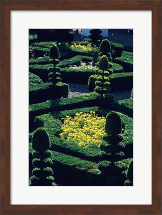 Framed Garden at Villandry Chateau in France Print