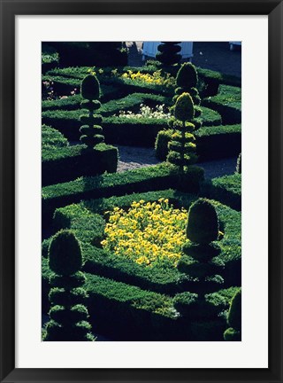 Framed Garden at Villandry Chateau in France Print