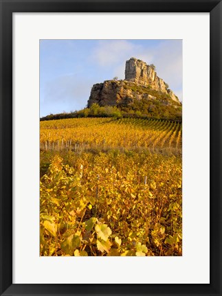 Framed Roche de Solutre above Vineyards, France Print