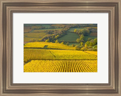 Framed Autumn Morning in Pouilly-Fuiss&#39; Vineyards Print