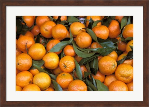 Framed Oranges, Nasch Market, Austria Print