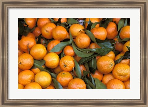 Framed Oranges, Nasch Market, Austria Print