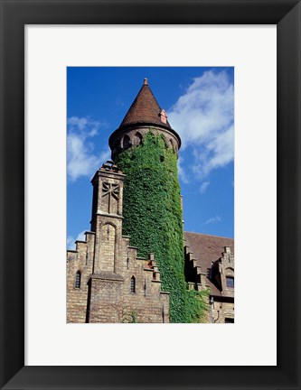 Framed Ivy-Covered Medieval Tower Print