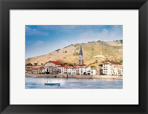 Framed Hermitage Vineyards Print