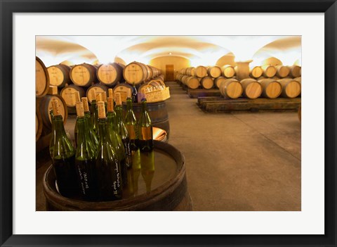 Framed Barrel cellar, Cote d Or, Burgundy, France Print