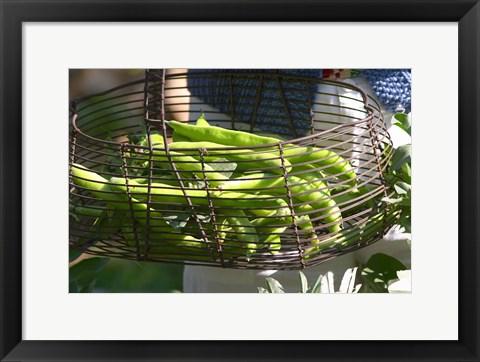 Framed Green Beans in Vegetable Garden Print