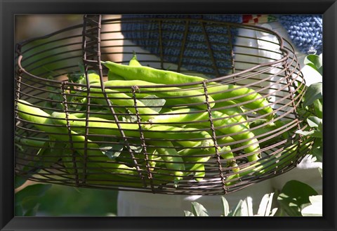 Framed Green Beans in Vegetable Garden Print