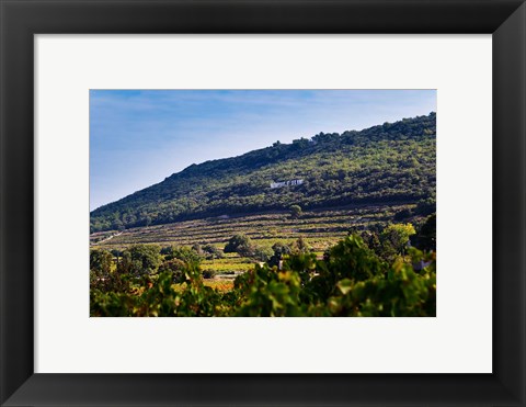 Framed Vacqueyras Vineyards, France Print