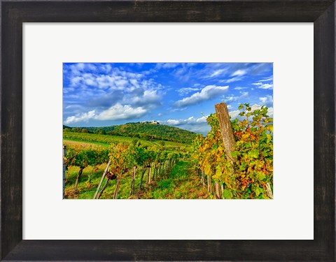 Framed Vienna vineyards, Austria Print