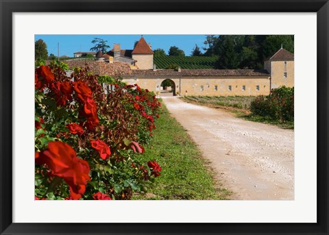 Framed Chateau Grand Mayne Vineyard and Roses Print