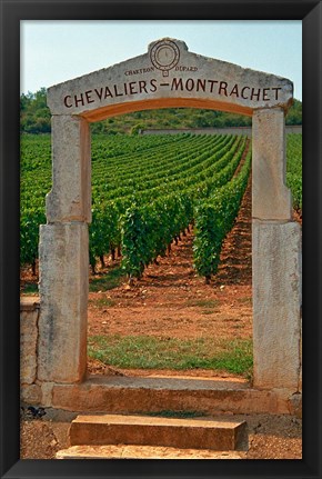 Framed Stone Portico to the Vineyard Chevalier-Montrachet Print