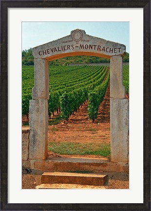 Framed Stone Portico to the Vineyard Chevalier-Montrachet Print
