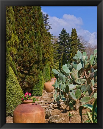 Framed Botanical Garden in Balchik Print