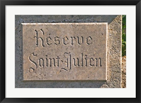 Framed Reserve Saint Julien Vineyard Print