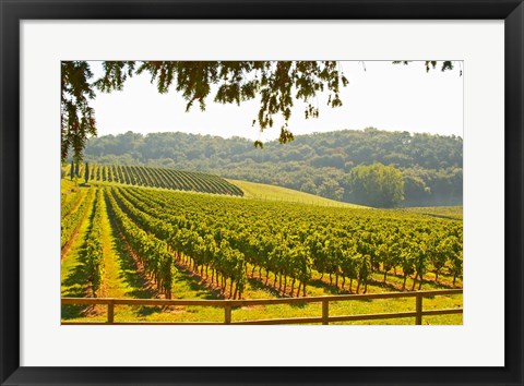 Framed Chateau Carignan, Premieres Cotes de Bordeaux, France Print