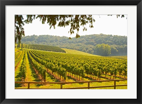 Framed Chateau Carignan, Premieres Cotes de Bordeaux, France Print