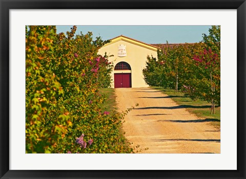 Framed Petit Verdot Vines and Winery Print