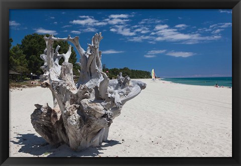 Framed Town Beach Driftwood in Ghisonaccia Print