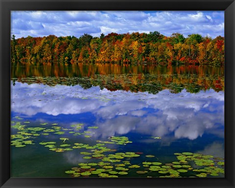 Framed Park Haven Lake in Autumn Print