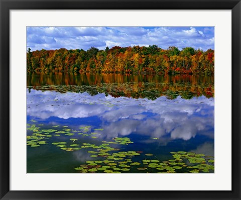 Framed Park Haven Lake in Autumn Print