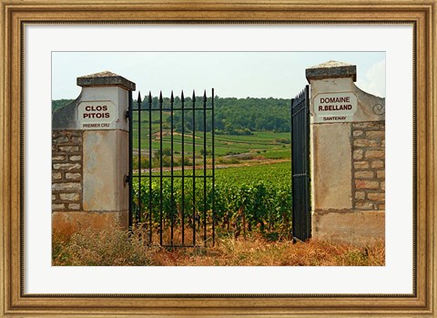 Framed Iron Gate to the Vineyard Clos Pitois Print