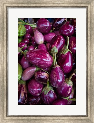 Framed Purple Eggplant, Seafront Market Print