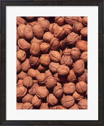 Framed Walnuts, Normandy, France Print