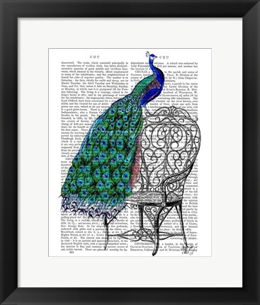 Framed Peacock on Chair Print