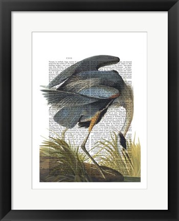 Framed Blue Heron 1 Print