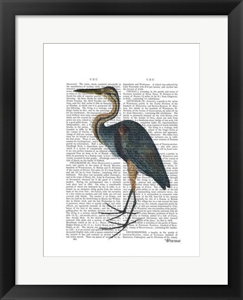 Framed Blue Heron 3 Print