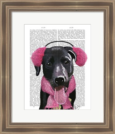 Framed Black Labrador With Ear Muffs Print