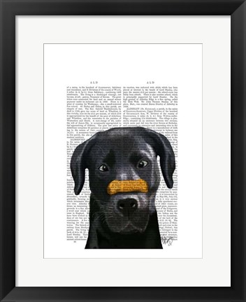 Framed Black Labrador With Bone on Nose Print