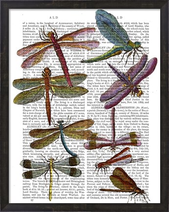 Framed Dragonfly Print 3 Print