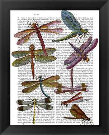 Framed Dragonfly Print 3 Print