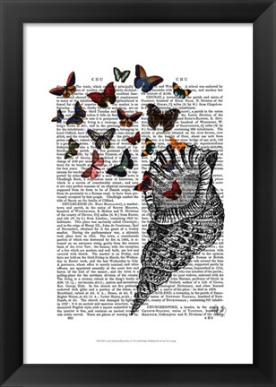 Framed Conch Shell and Butterflies Print