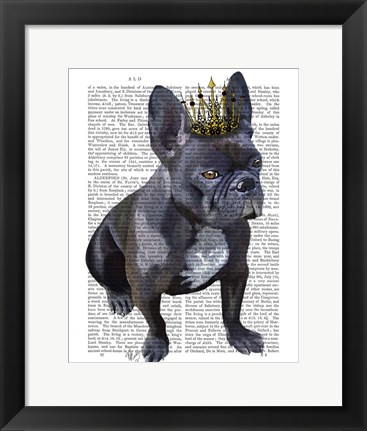 Framed French Bulldog King Print