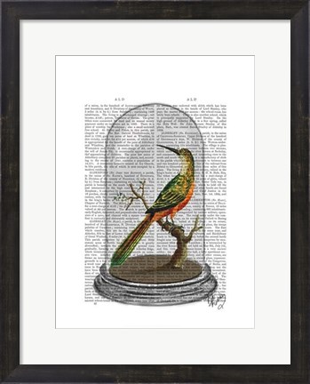 Framed Bird In Bell Jar Print