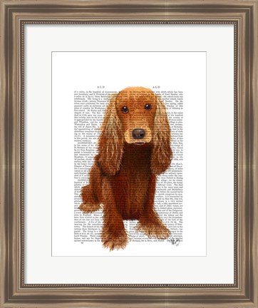 Framed Cocker Spaniel Plain Print