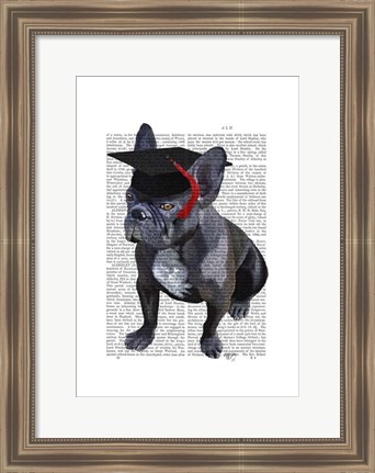 Framed Graduation French Bulldog Print