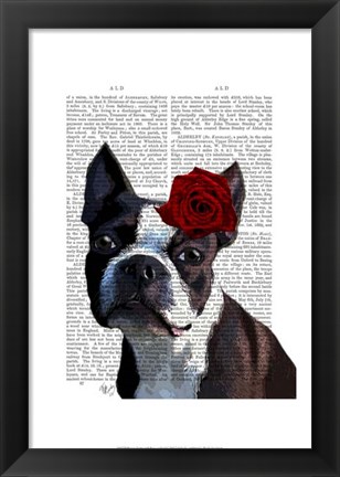 Framed Boston Terrier with Rose on Head Print