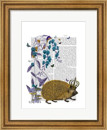 Framed Golden Hedgehog Print