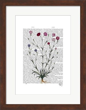 Framed Italian Carnation 5 Print