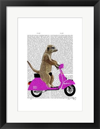 Framed Meerkat on Pink Moped Print